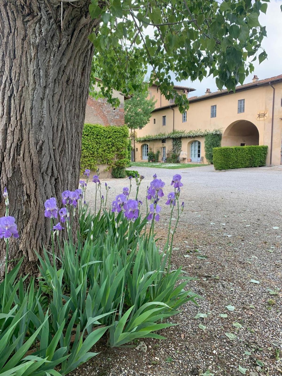 Agriturismo La Volta Villa Кашина Екстериор снимка